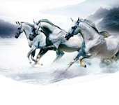 ʡ������ǰʮ����ơ�ʩ��ʵ����ǰ